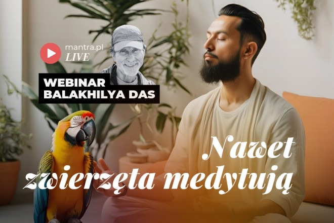 LIVE z Balakhilya das: Nawet zwierzęta medytują